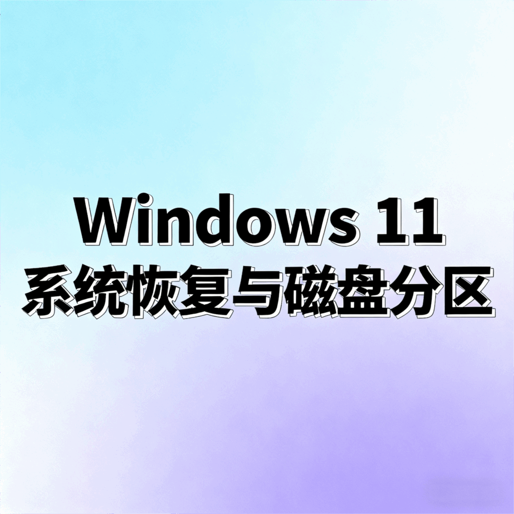 Windows 11 系统恢复与磁盘分区完整教程-大毛技术网